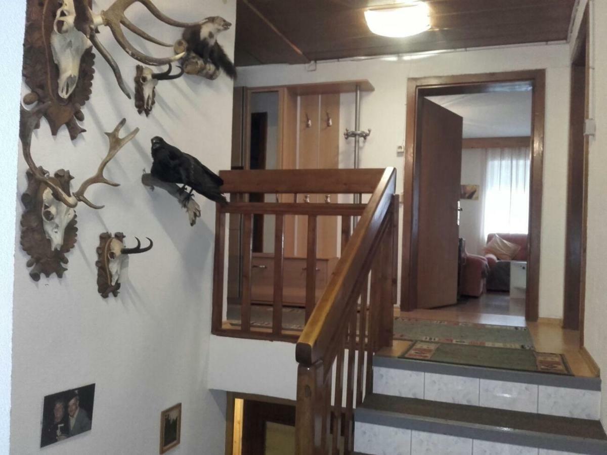 Frischmann Apartment